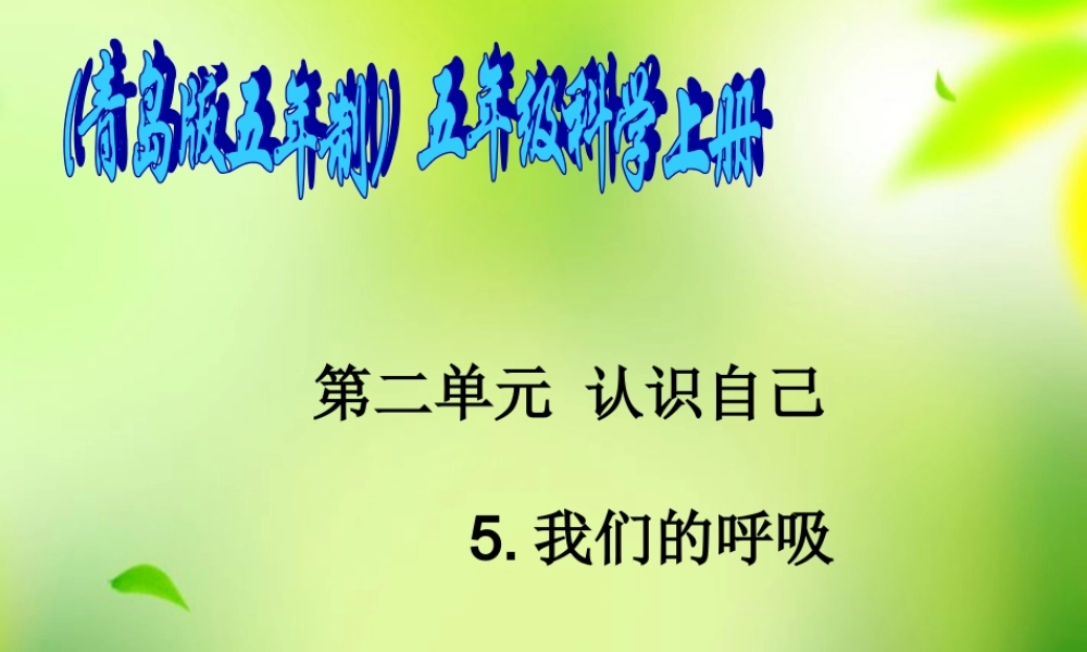 五年级科学上册 我们的呼吸 2课件 青岛版
