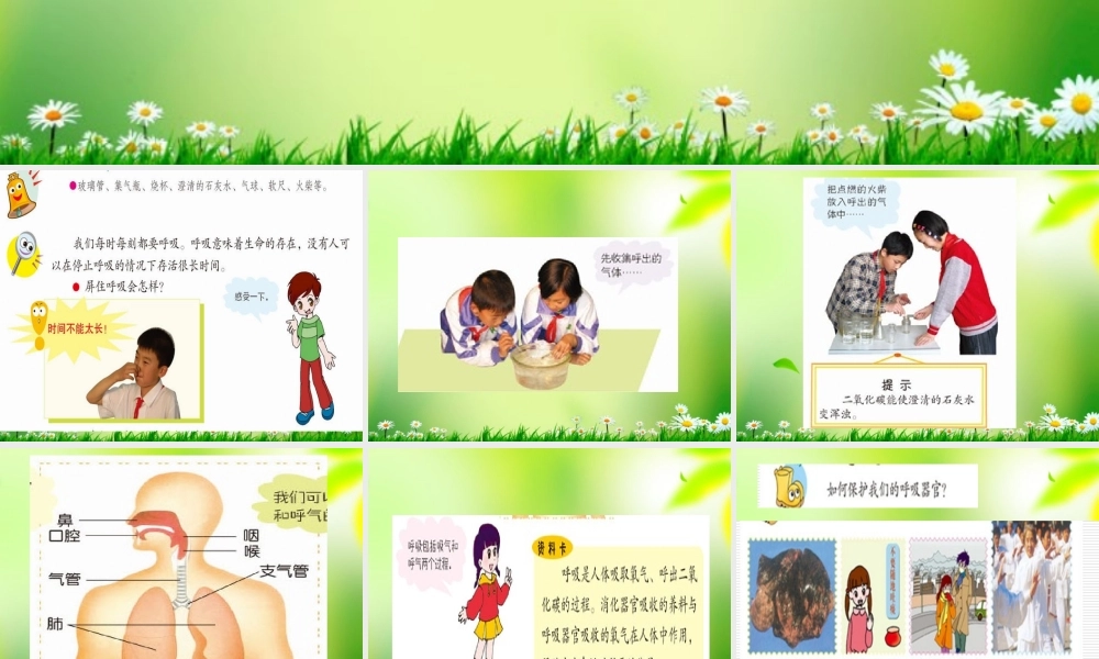 五年级科学上册 我们的呼吸 2课件 青岛版