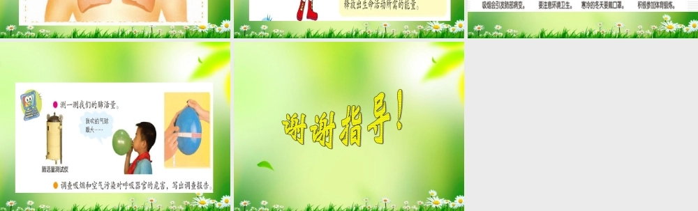 五年级科学上册 我们的呼吸 2课件 青岛版