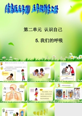 五年级科学上册 我们的呼吸 2课件 青岛版
