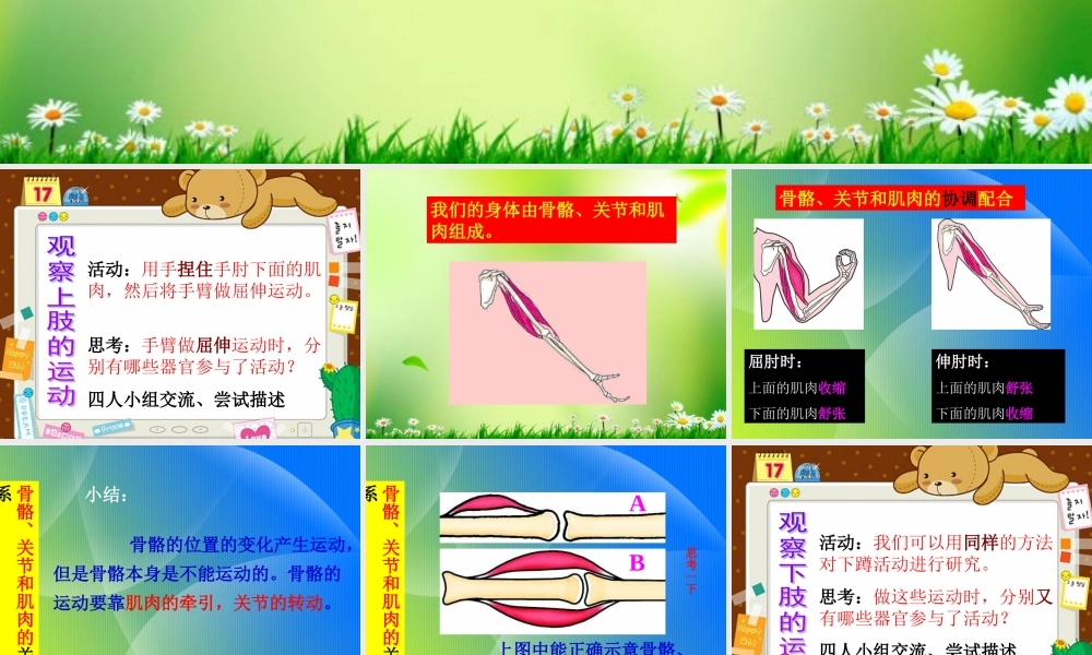 五年级科学上册 我们的身体 2课件 青岛版