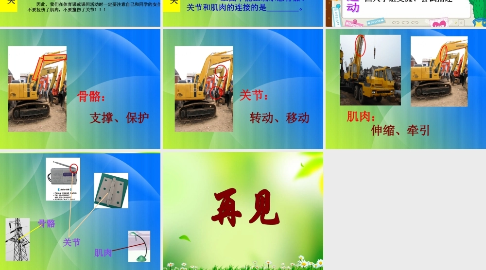 五年级科学上册 我们的身体 2课件 青岛版