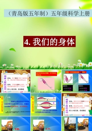五年级科学上册 我们的身体 2课件 青岛版