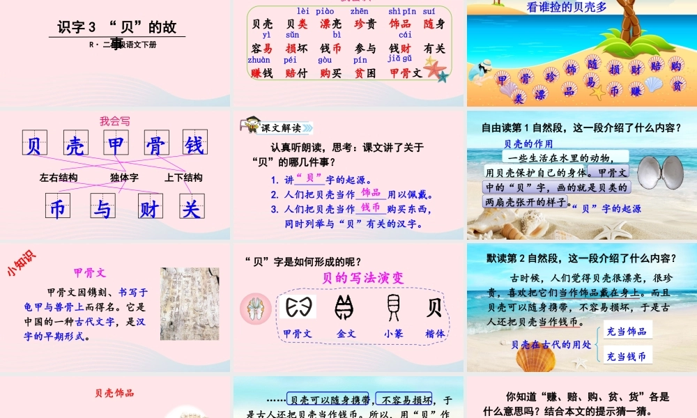 二年级语文下册 识字3《贝的故事》教学课件2 新人教版-新人教版小学二年级下册语文课件