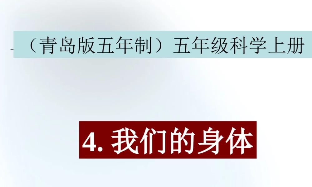 五年级科学上册 我们的身体 2课件 青岛版五年制