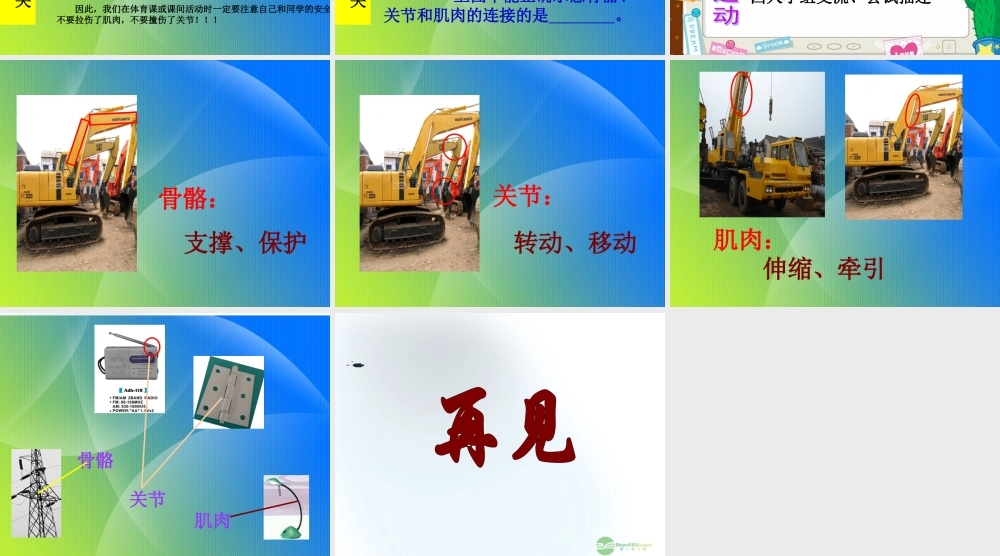 五年级科学上册 我们的身体 2课件 青岛版五年制