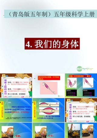 五年级科学上册 我们的身体 2课件 青岛版五年制