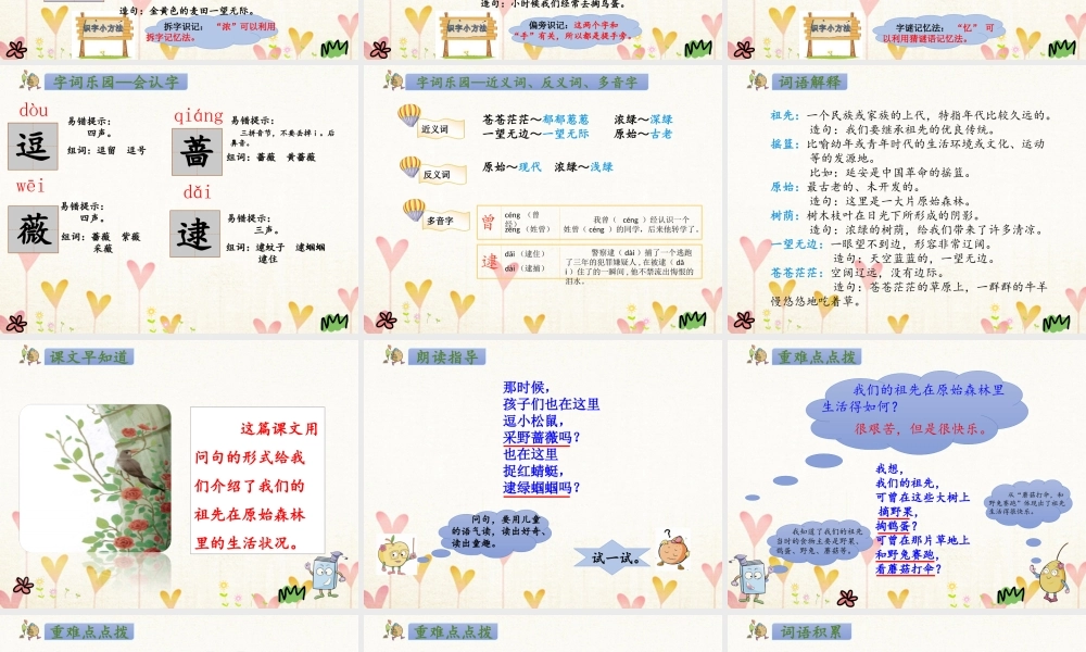 二年级语文下册 课文7 23 祖先的摇篮课件1 新人教版-新人教版小学二年级下册语文课件