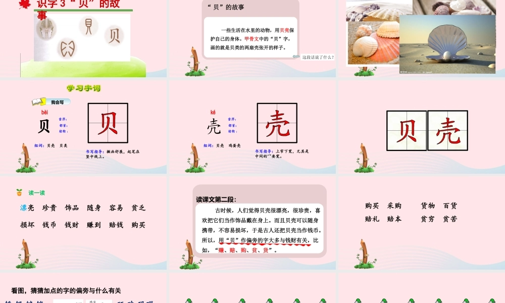 二年级语文下册 识字 3 贝的故事课件 新人教版-新人教级下册语文课件