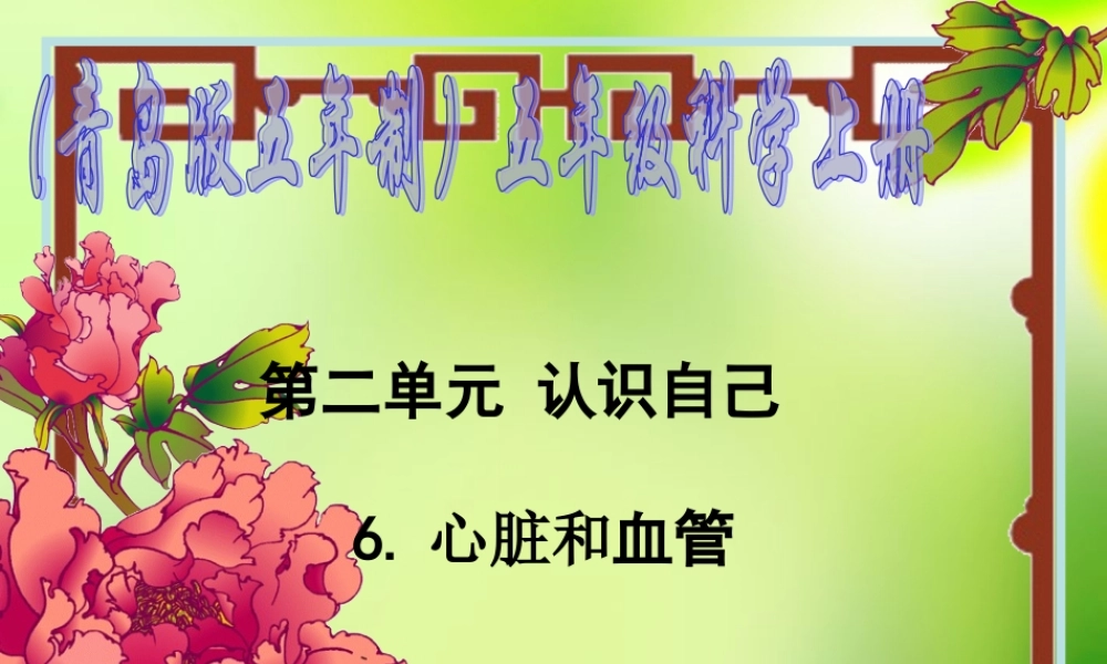五年级科学上册 心脏和血管 1课件 青岛版