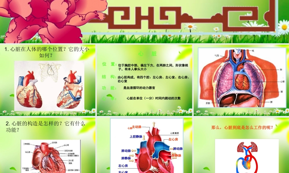 五年级科学上册 心脏和血管 1课件 青岛版