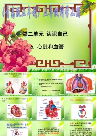 五年级科学上册 心脏和血管 1课件 青岛版