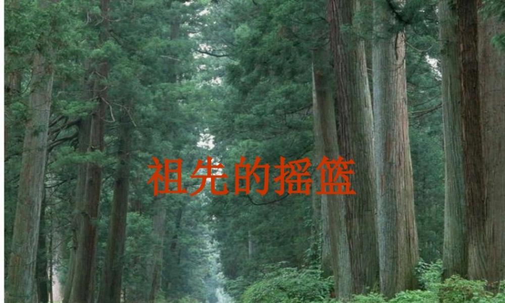二年级语文下册 课文7 23 祖先的摇篮课件2 新人教版-新人教版小学二年级下册语文课件