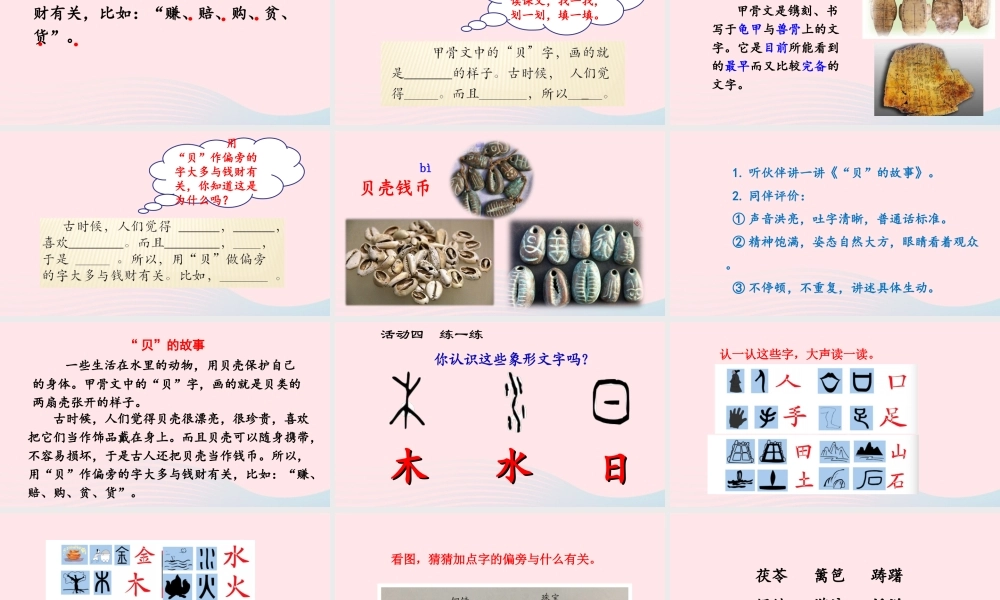 二年级语文下册 识字3《贝的故事》精品课件 新人教版-新人教版小学二年级下册语文课件