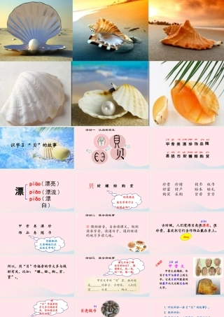 二年级语文下册 识字3《贝的故事》精品课件 新人教版-新人教版小学二年级下册语文课件