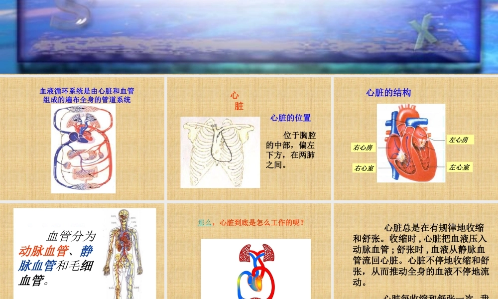 五年级科学上册 心脏和血管 2课件 青岛版