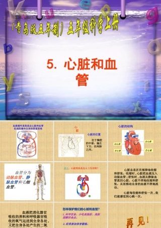 五年级科学上册 心脏和血管 2课件 青岛版