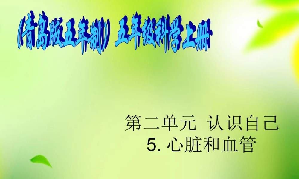 五年级科学上册 心脏和血管 3课件 青岛版