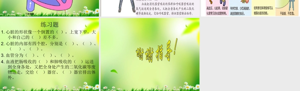 五年级科学上册 心脏和血管 3课件 青岛版