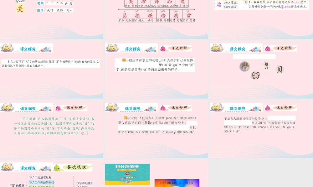 二年级语文下册 识字3《贝的故事》课件 新人教版-新人教版小学二年级下册语文课件