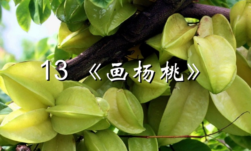 二年级语文下册 课文4 第13课《画杨桃》课件2 新人教版-新人教版小学二年级下册语文课件
