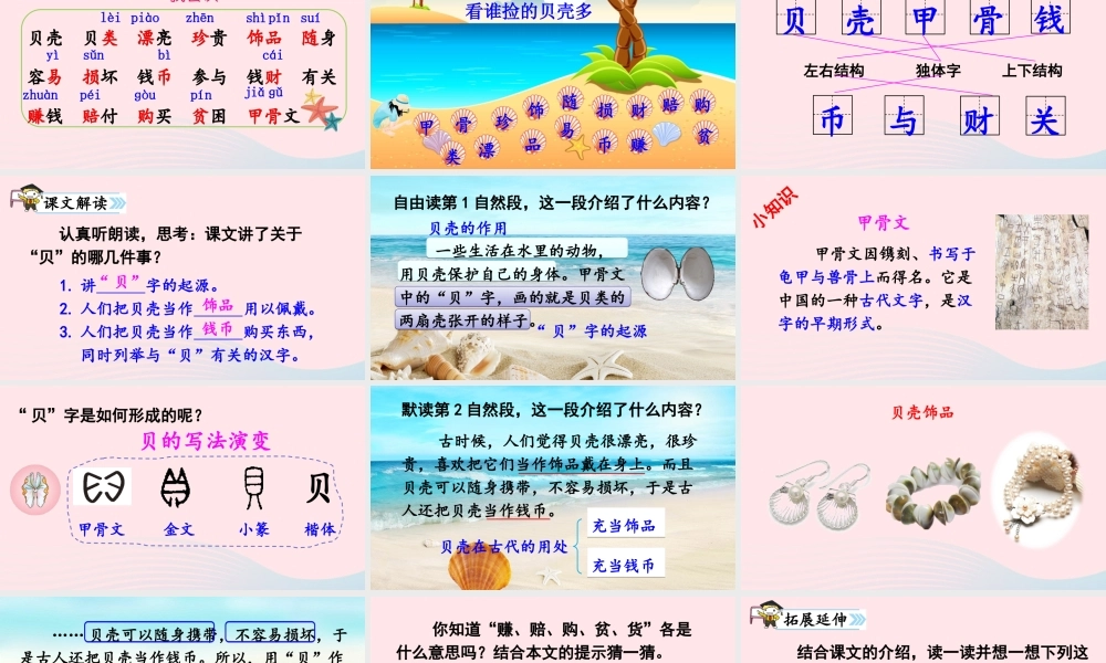 二年级语文下册 识字3《贝的故事》课件2 新人教版-新人教版小学二年级下册语文课件