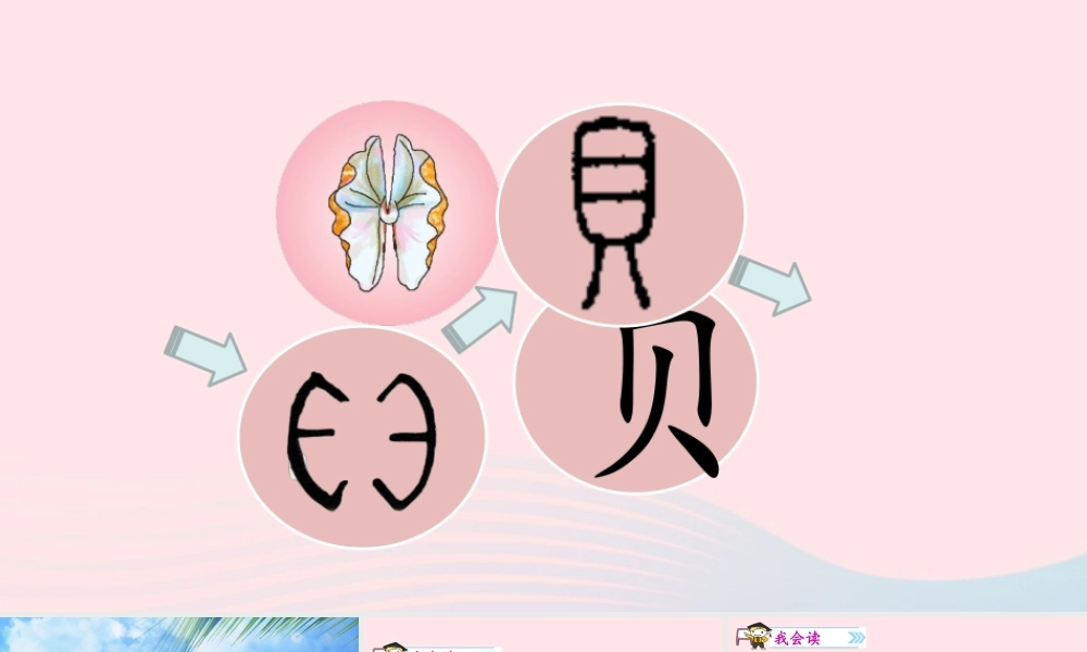 二年级语文下册 识字 3 贝的故事课件1 新人教版-新人教级下册语文课件