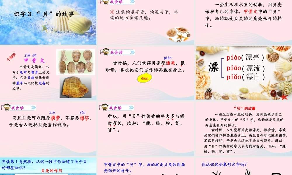二年级语文下册 识字 3 贝的故事课件1 新人教版-新人教级下册语文课件
