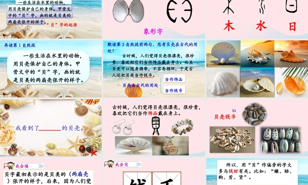 二年级语文下册 识字 3 贝的故事课件1 新人教版-新人教级下册语文课件