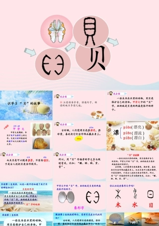 二年级语文下册 识字 3 贝的故事课件1 新人教版-新人教级下册语文课件