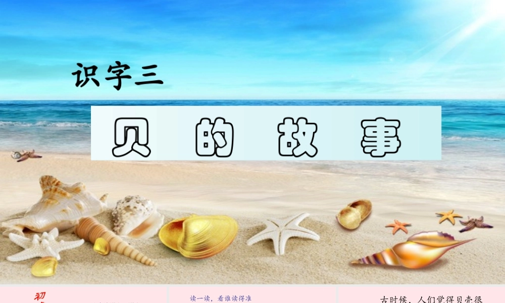 二年级语文下册 识字 3 贝的故事课件2 新人教版-新人教版小学二年级下册语文课件