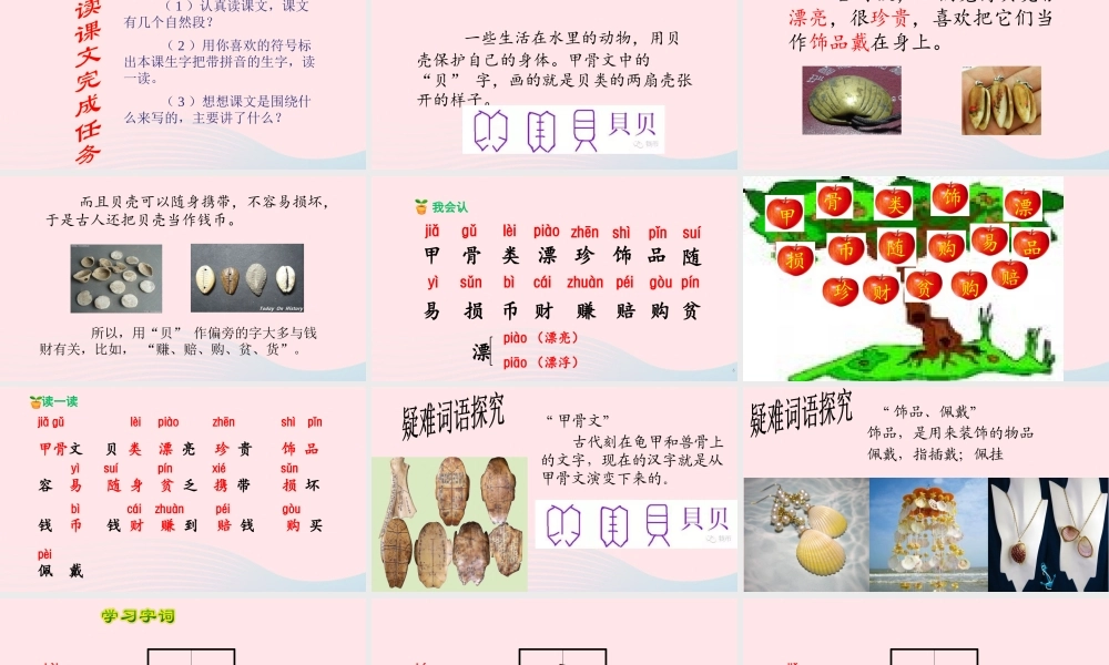 二年级语文下册 识字 3 贝的故事课件2 新人教版-新人教版小学二年级下册语文课件