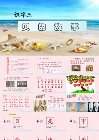 二年级语文下册 识字 3 贝的故事课件2 新人教版-新人教版小学二年级下册语文课件
