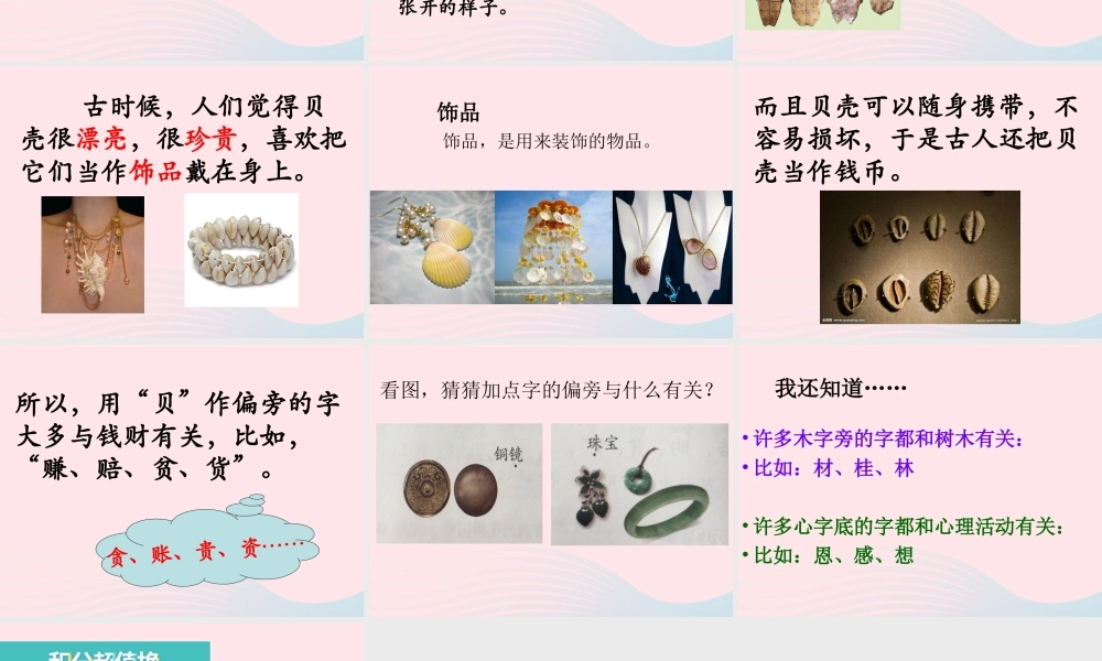 二年级语文下册 识字3《贝的故事》课件3 新人教版-新人教版小学二年级下册语文课件