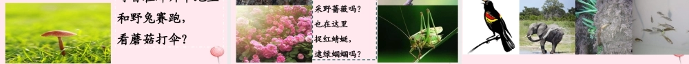 二年级语文下册 课文7 23 祖先的摇篮课堂教学课件 新人教版-新人教版小学二年级下册语文课件