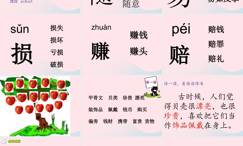 二年级语文下册 识字3《贝的故事》课件4 新人教版-新人教版小学二年级下册语文课件