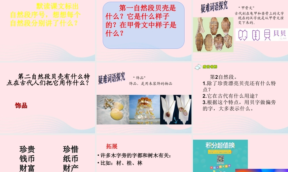 二年级语文下册 识字3《贝的故事》课件4 新人教版-新人教版小学二年级下册语文课件