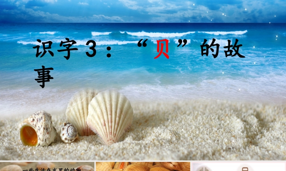 二年级语文下册 识字 3 贝的故事课件3 新人教版-新人教版小学二年级下册语文课件