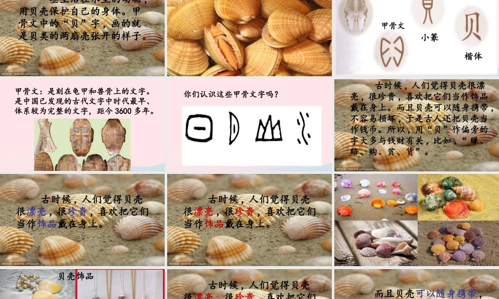 二年级语文下册 识字 3 贝的故事课件3 新人教版-新人教版小学二年级下册语文课件