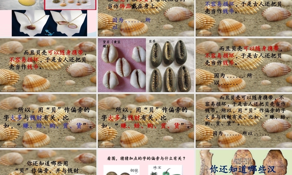 二年级语文下册 识字 3 贝的故事课件3 新人教版-新人教版小学二年级下册语文课件