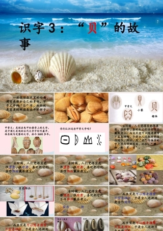 二年级语文下册 识字 3 贝的故事课件3 新人教版-新人教版小学二年级下册语文课件