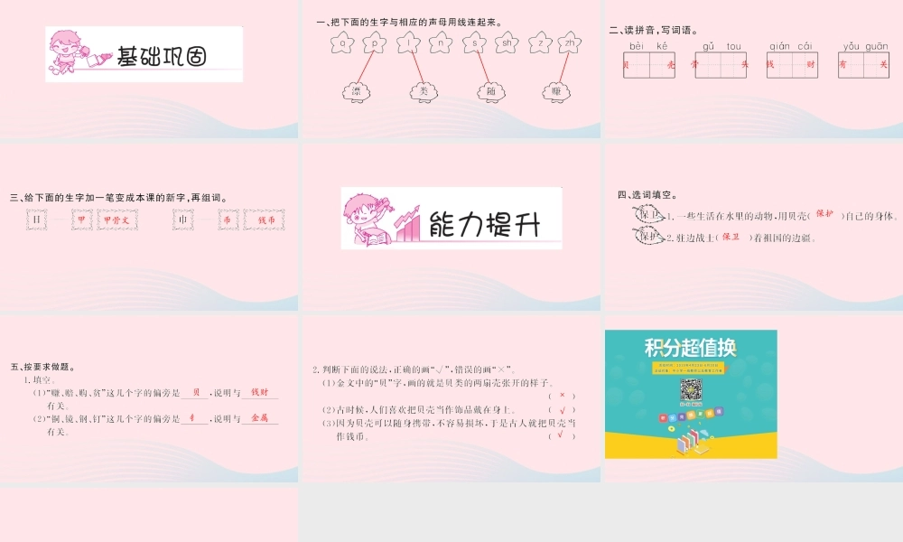 二年级语文下册 识字 3 贝的故事习题课件 新人教版-新人教版小学二年级下册语文课件