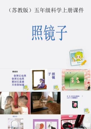 五年级科学上册 照镜子 1课件 苏教版