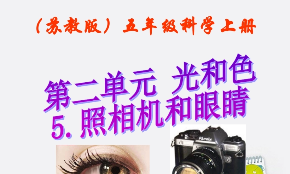 五年级科学上册 照相机和眼睛 1课件 苏教版