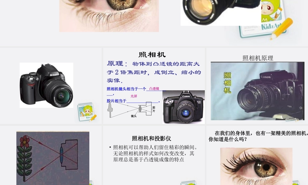 五年级科学上册 照相机和眼睛 1课件 苏教版