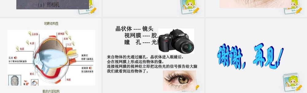 五年级科学上册 照相机和眼睛 1课件 苏教版
