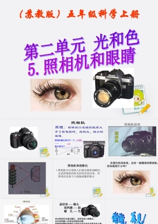 五年级科学上册 照相机和眼睛 1课件 苏教版