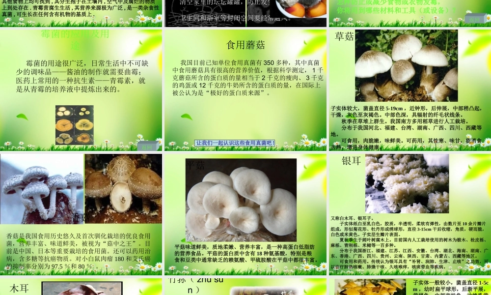 五年级科学上册 真菌 1课件 青岛版