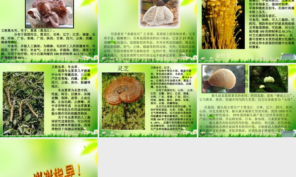 五年级科学上册 真菌 1课件 青岛版