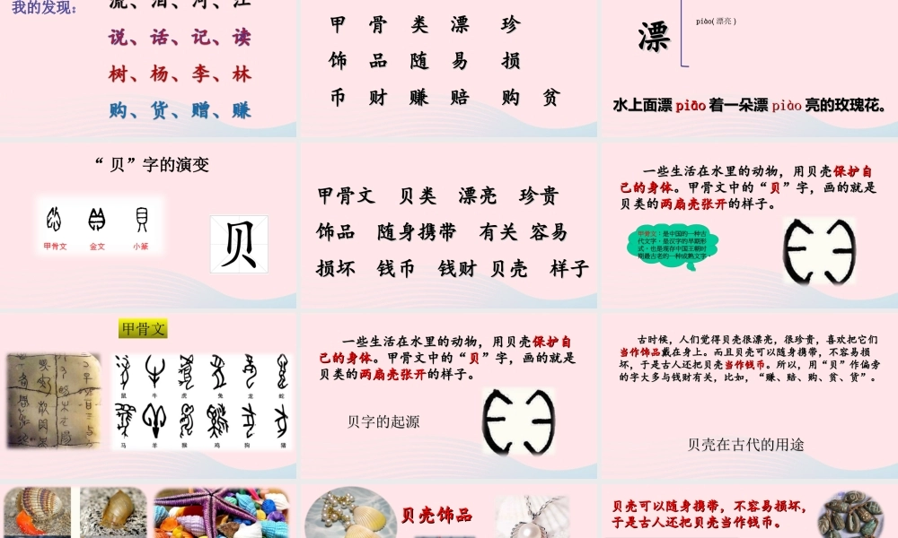 二年级语文下册 识字 3《贝的故事》课件 新人教版-新人教版小学二年级下册语文课件